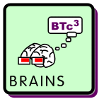 Brains